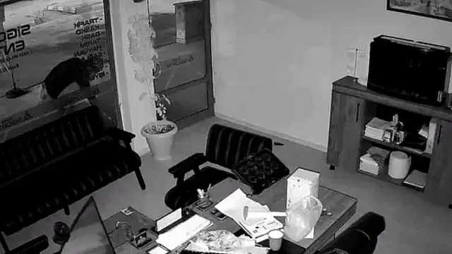 İş Yeri Önündeki Saksıdan Çiçekler Kimliği Belirsiz Kişi Tarafından Sökülerek Çalındı