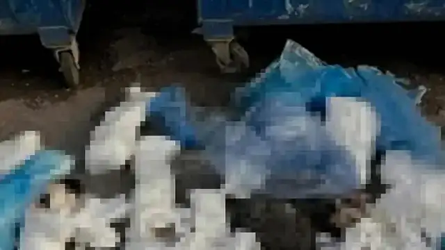 İzmir'de 33 Kedi Ölümüyle İlgili Veteriner Hekim Tutuklandı