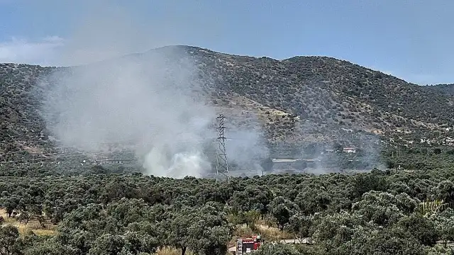 İzmir'in Bayındır İlçesinde Zeytinlik Alanda Yangın Çıktı