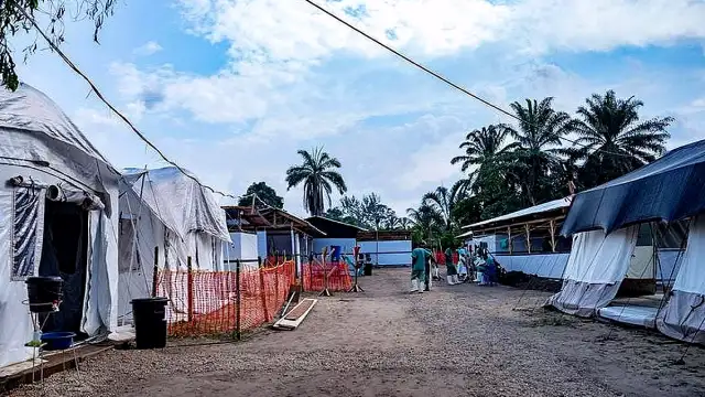 Kongo Demokratik Cumhuriyeti'nde Ebola Salgını: 246 Vaka, 65 Ölüm