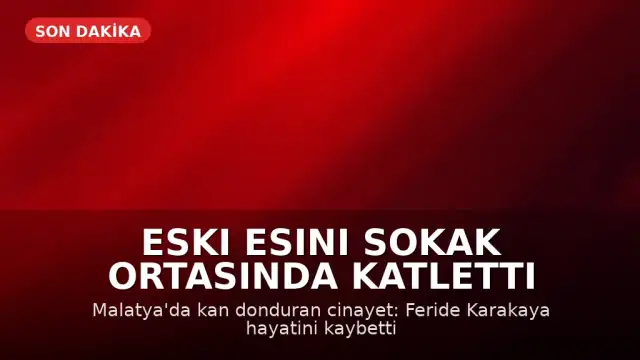 Malatya'da Eski Eş Cinayeti: H.K. Eski Eşi F.K.'yı Sokak Ortasında Tüfekle Vurdu