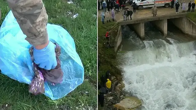 Muş'ta Derede Kaybolan Kadını Arama Çalışmalarında 7. Güne Girildi: Eşyaları Bulundu