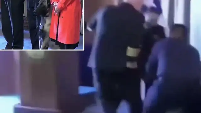 Narkotik Köpeği Mezuniyet Töreninde Tümamirale Saldırdı