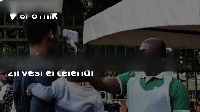 Hindistan-Afrika Zirvesi Ebola Endişesi Nedeniyle Ertelendi