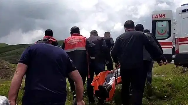 Sivas'ta Mantar Toplarken Ayı Saldırısı: Bir Vatandaşın Parmağı Koptu