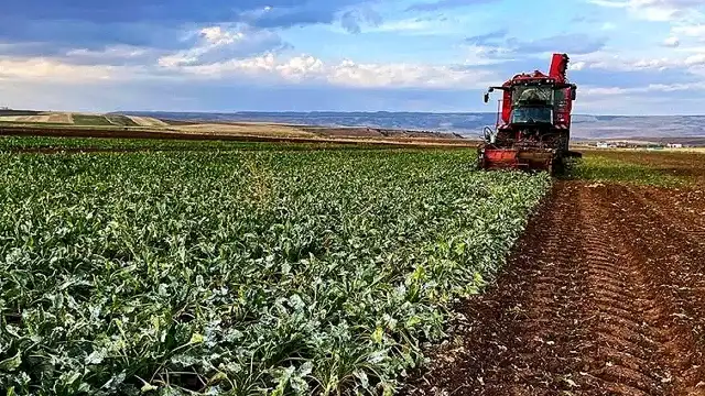 Tokat'ta Sel ve Dolu Felaketi Çiftçileri Vurdu: Ziraat Odası Destek Sözü Verdi