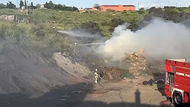 Ümraniye'de Hayvan Barınağı Yakınında Yangın Paniği