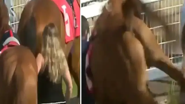 Yarış Atının Tekmesiyle Yere Düşen Ahır Çalışanının Sağlık Durumu İyi
