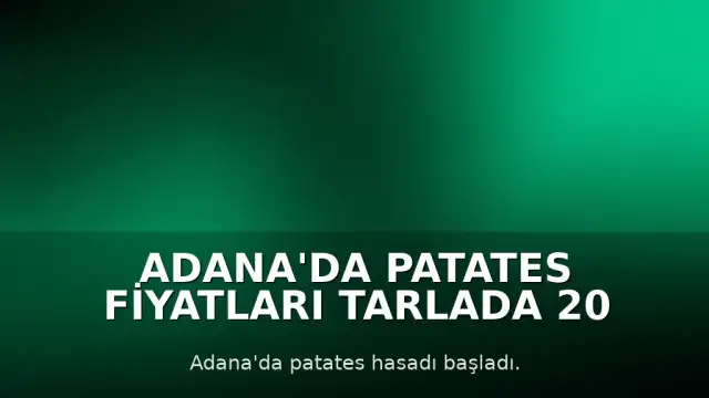 Adana'da Patates Fiyatları Tarlada 20 TL'ye Düştü
