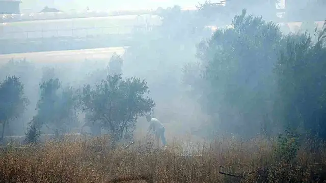 Antalya'da Çıkan Yangın Seralara Ulaşmadan Söndürüldü
