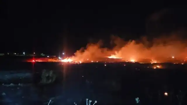 Balıkesir Burhaniye'de Örtü Yangını: Ekipler Alevlerle Mücadele Ediyor