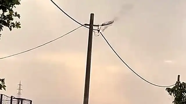 Bandırma'da Elektrik Hattında Arıza: Korku Dolu Anlar Yaşandı