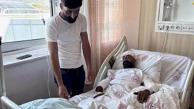 Bingöl'de Mantar Toplarken Ayı Saldırısına Uğrayan Şahıs Hastanede Tedavi Altında