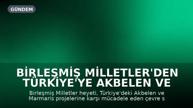 Birleşmiş Milletler'den Türkiye'ye Akbelen ve Marmaris Dosyası Hakkında Uyarı