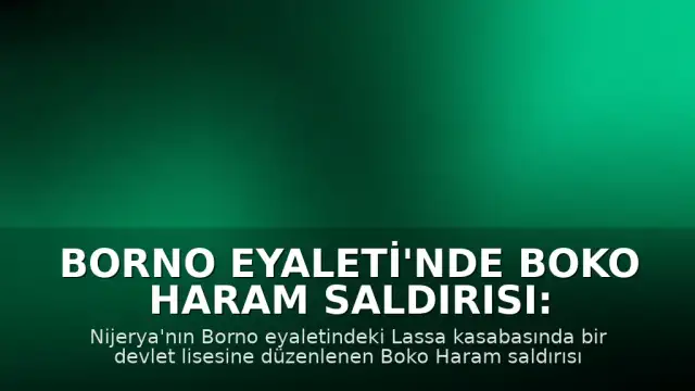 Borno Eyaleti'nde Boko Haram Saldırısı: Okulda Çok Sayıda Öğrenci Kaçırıldı