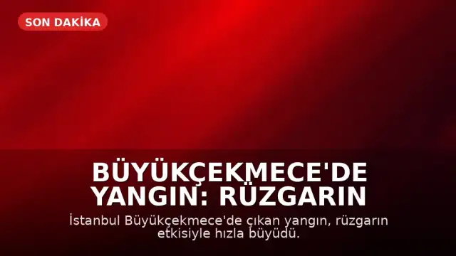 Büyükçekmece'de Yangın: Rüzgarın Etkisiyle Alevler Yayılma Gösterdi