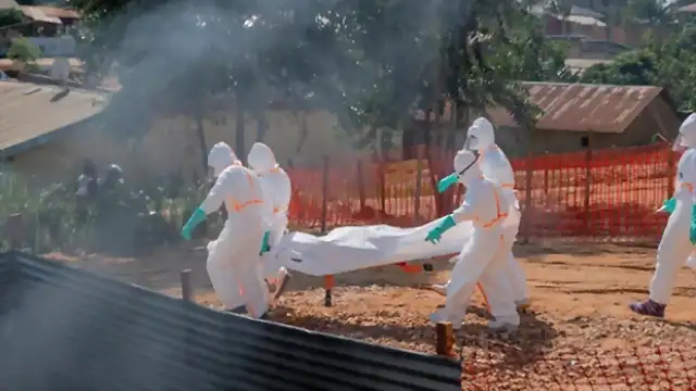 Fransa Sağlık Bakanlığı: "Ülke topraklarında ilk Ebola virüsü vakasının tespit edildi"