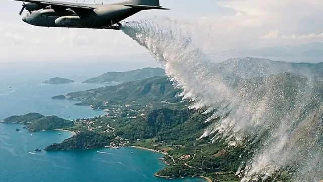 İzlanda'da Erozyonla Mücadelede Kullanılan Bitki Yeni Bir Ekolojik Krize Yol Açtı
