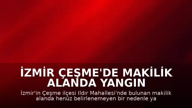 İzmir Çeşme'de Makilik Alanda Yangın Meydana Geldi
