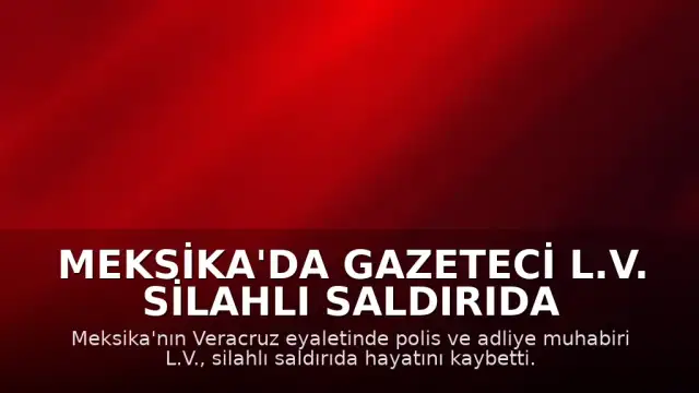 Meksika'da Gazeteci L.V. Silahlı Saldırıda Hayatını Kaybetti