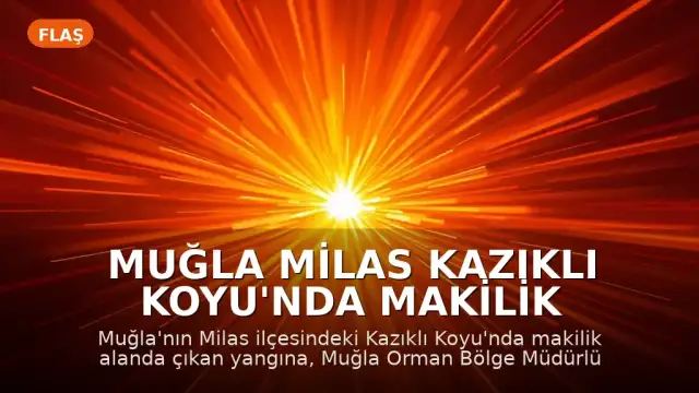 Muğla Milas Kazıklı Koyu'nda Makilik Alanda Yangın