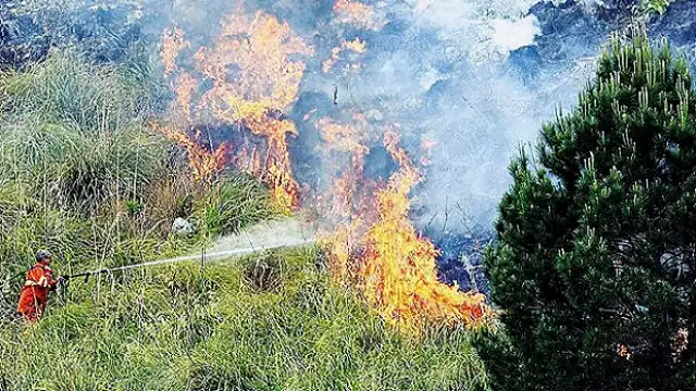 Ormancılardan Yangın Tehlikesi Uyarısı: Yol Kenarları Temizlenmeli