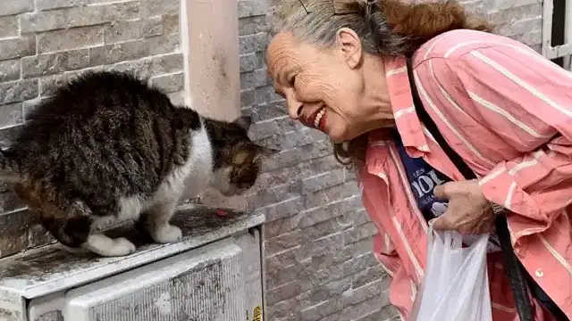 Sinema oyuncusu ve hayvan hakları savunucusu Emel Yıldız son yolculuğuna uğurlandı