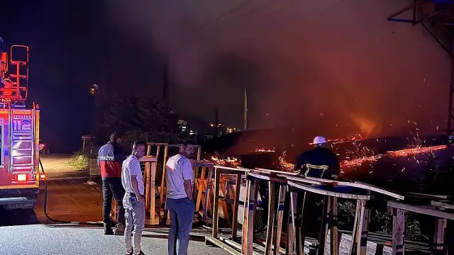 Sinop'ta Orman Ürünleri Fabrikasında Yangın: Depo Bölümü Hasar Gördü