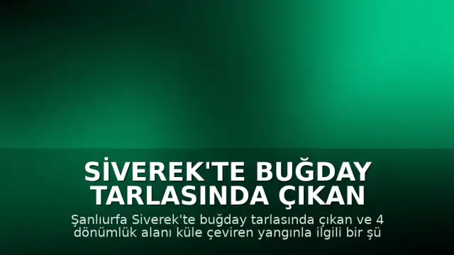Siverek'te Buğday Tarlasında Çıkan Yangınla İlgili Bir Şüpheli Yakalandı