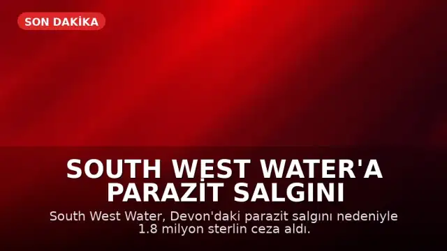 South West Water'a Parazit Salgını Nedeniyle 1.8 Milyon Sterlin Ceza