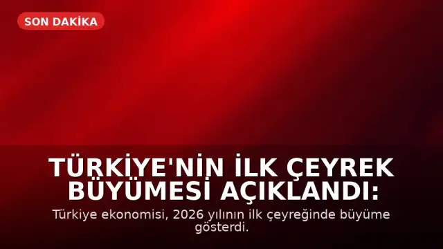 Türkiye'nin İlk Çeyrek Büyümesi Açıklandı: Bilgi ve İletişim Sektörü Öne Çıktı
