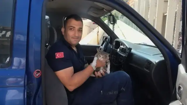 Amasya'da Otomobil Motoruna Sıkışan Yavru Kedi İtfaiye Tarafından Kurtarıldı