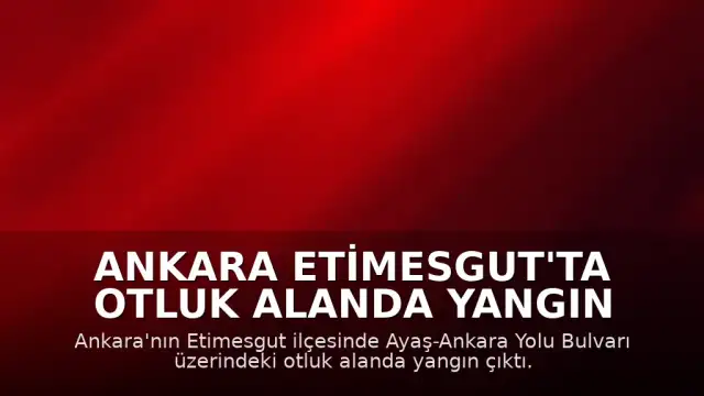 Ankara Etimesgut'ta Otluk Alanda Yangın Çıktı