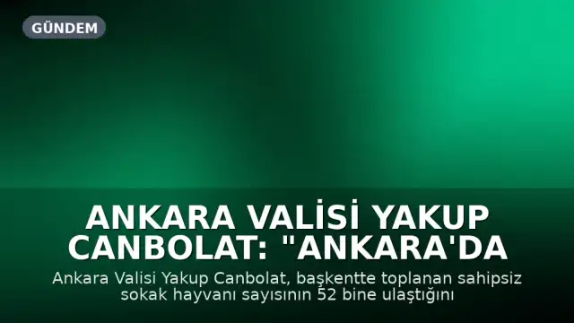Ankara Valisi Yakup Canbolat: "Ankara'da toplanan sahipsiz sokak hayvanı sayısı 52 bine ulaştı"