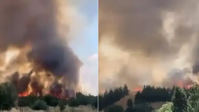 Ankara'da Otluk Alanda Çıkan Yangın Kontrol Altına Alındı