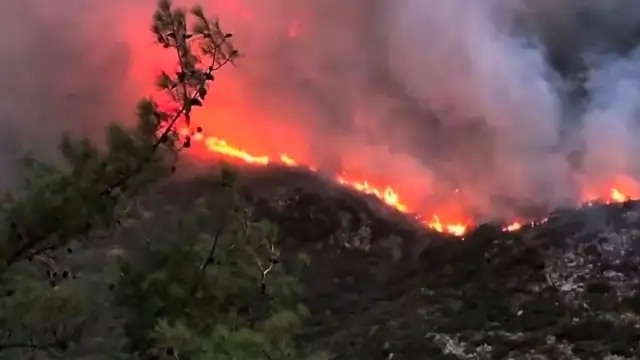 Antalya Kaş'taki Orman Yangınına Müdahale Karadan Devam Ediyor