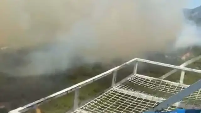 Aydın Kuyucak'ta Orman Yangını Çıktı