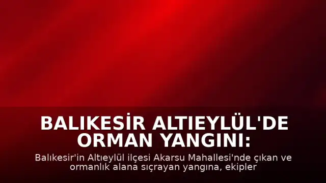 Balıkesir Altıeylül'de Orman Yangını: Müdahale Devam Ediyor