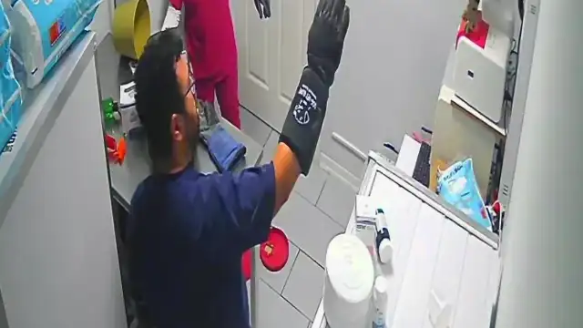 Bursa Orhangazi'de Veteriner Kliniğinde Sıra Dışı Olay: Sokak Kedisi Panik Yarattı