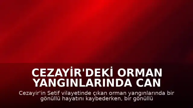 Cezayir'deki Orman Yangınlarında Can Kaybı ve Yaralanma Bildirildi