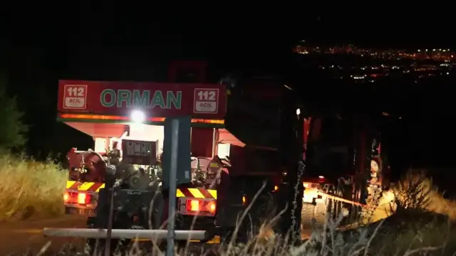 Denizli Pamukkale'de Orman Yangını: Rüzgarın Etkisiyle Alevler Yeniden Yükseldi
