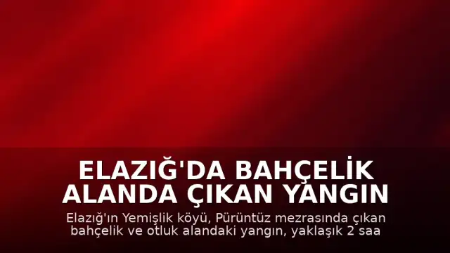 Elazığ'da Bahçelik Alanda Çıkan Yangın Kontrol Altına Alındı