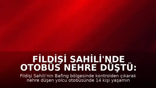 Fildişi Sahili'nde Otobüs Nehre Düştü: 14 Ölü, 40 Yaralı