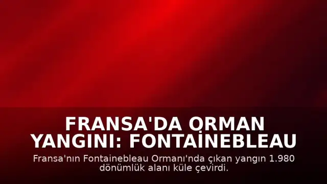 Fransa'da Orman Yangını: Fontainebleau Ormanı'nda Bin 980 Dönümlük Alan Kül Oldu