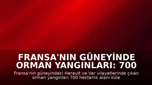 Fransa'nın güneyinde orman yangınları: 700 hektarlık alan küle döndü