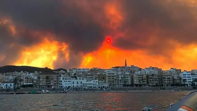İspanya Almeria'daki Orman Yangınında Can Kaybı Artıyor: En Az 11 Ölü