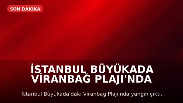 İstanbul Büyükada Viranbağ Plajı'nda Yangın Çıktı