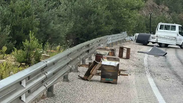 Kastamonu'da arı kovanı yüklü kamyonetin bariyere çarpması sonucu 2 yaralı