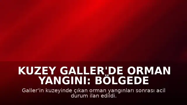 Kuzey Galler'de Orman Yangını: Bölgede Acil Durum İlan Edildi