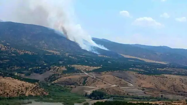 Malatya Pütürge'de Orman Yangını Çıktı